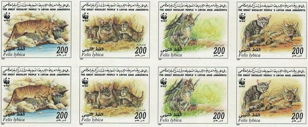 Le chat sauvage d'Afrique - Felis lybica - dans une série de timbres publiée en Libye. Il est le chat qui céda le plus facilement à l'apprivoisement puis à la domestication.
